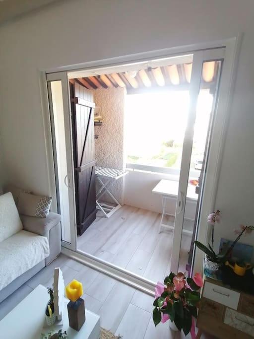 Magnifique Duplex Face A La Mer 滨海圣西尔 外观 照片