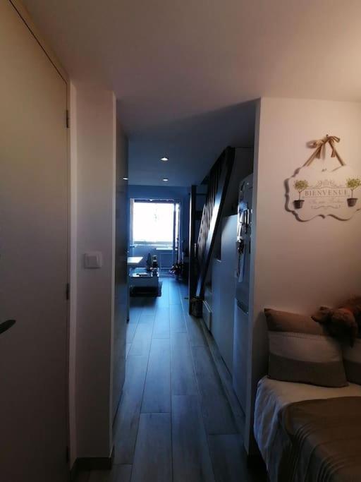 Magnifique Duplex Face A La Mer 滨海圣西尔 外观 照片